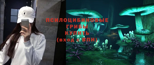 молекула духа Покровск