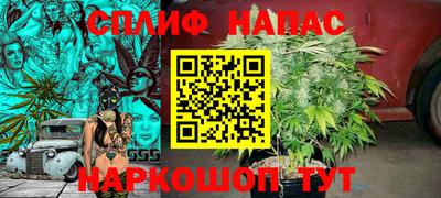 метадон Заводоуковск