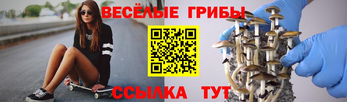 Рославль  Галлюциногенные грибы Magic Shrooms  Вход с VPN  Псилоцибиновые грибы мицелий 